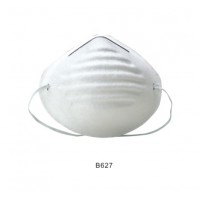 Safety disposable full face N95 mask